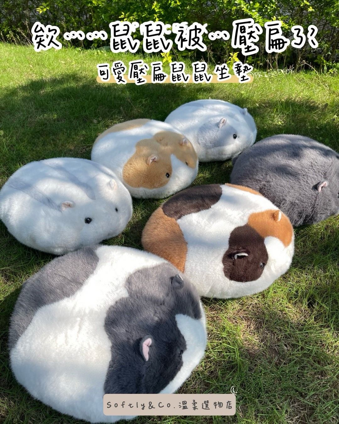 ■正版授權■PRINCEFOX原創天竺鼠軟萌坐墊（預購因材積問題限購一單一隻 預計6月到貨）