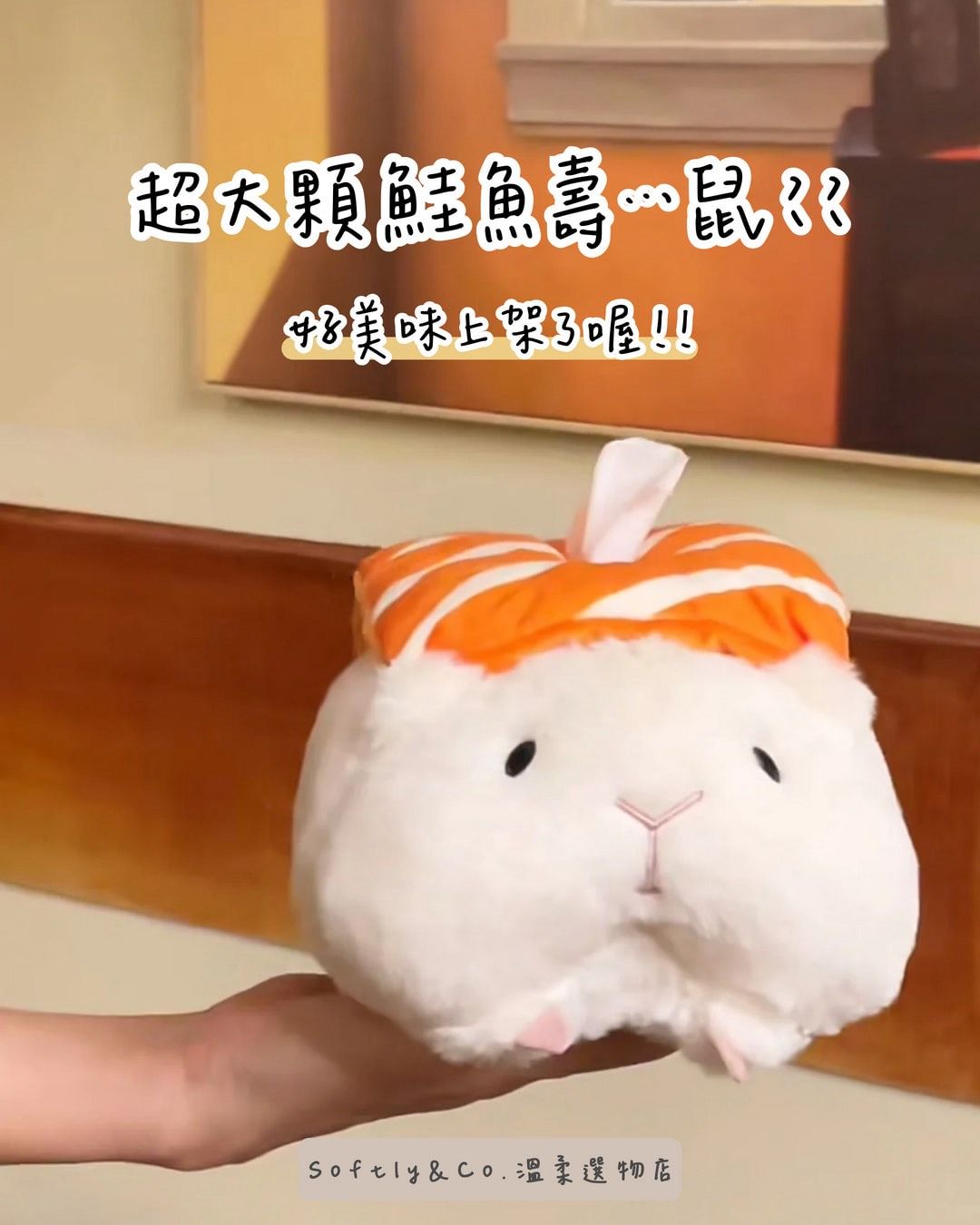 ≣正版授權≣美味巨大鮭魚鼠鼠壽司面紙套（預購 預計6月中左右到貨）