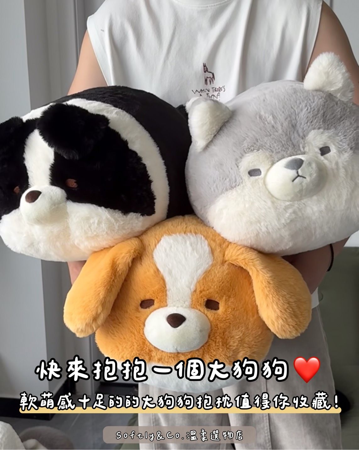 ≣正版授權 ≣抱抱計畫 狗狗毛絨45公分大居家玩偶（預購 因材積問題限購一單一隻）