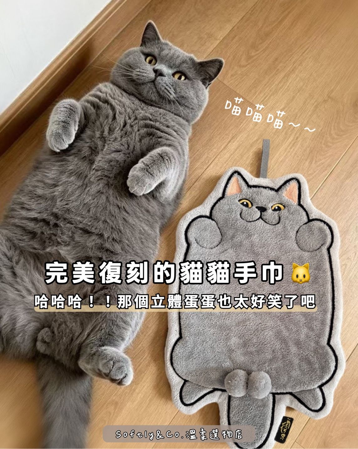 ≣正版授權≣三灰色貓貓擦手巾（預購 預計9月初左右到貨）