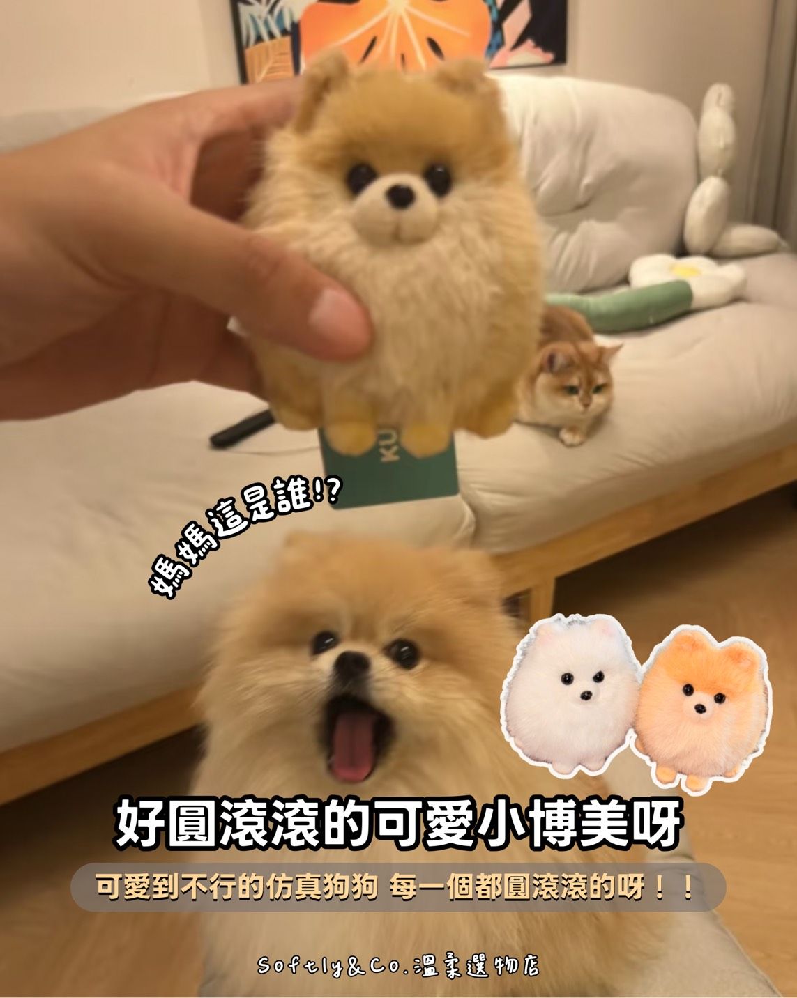 ≣正版授權≣仿真博美狗狗家族毛絨娃娃吊飾（預購 預計11月）