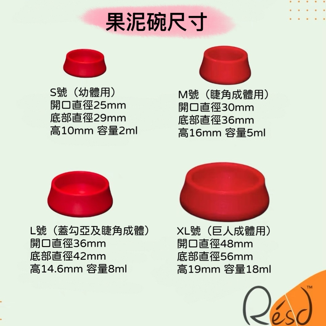 樹棲守宮果泥碗.水盆-標題點進去會有其他照片及文字說明
