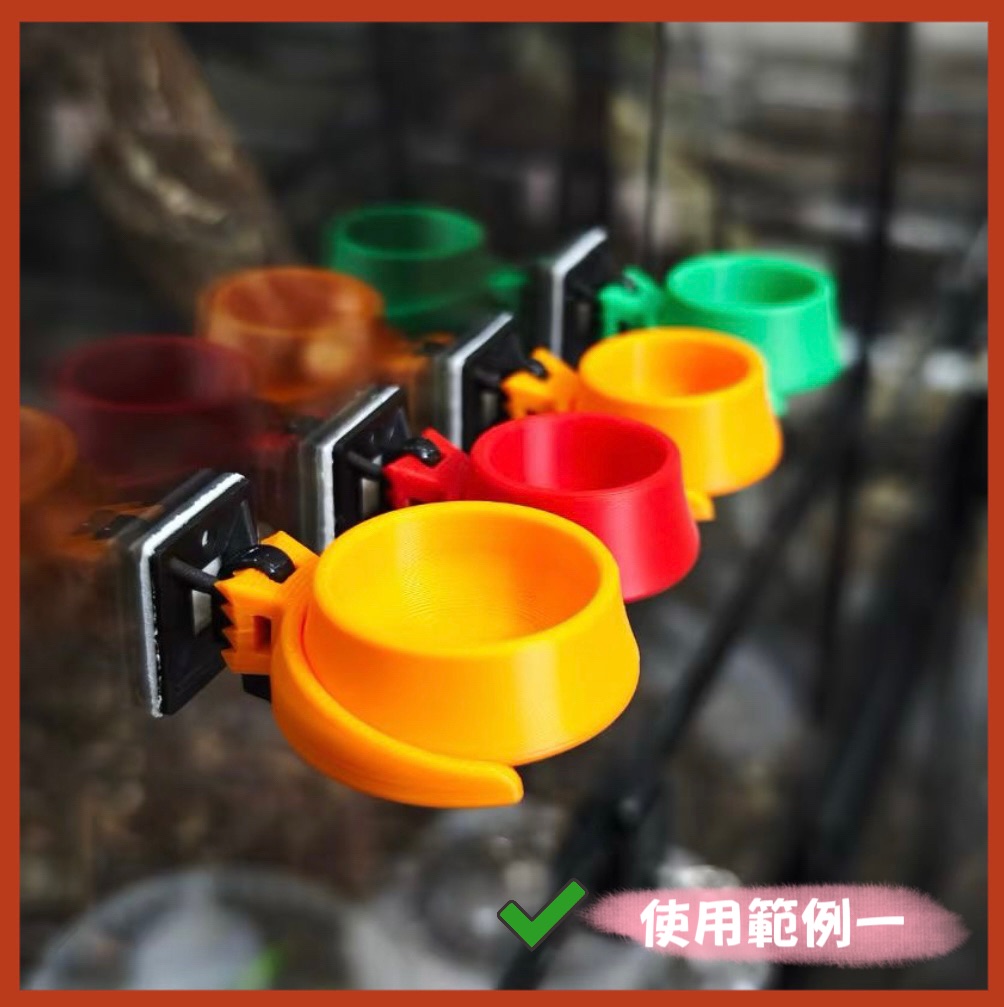 樹棲守宮果泥碗.水盆套組-標題點進去會有其他照片及文字說明