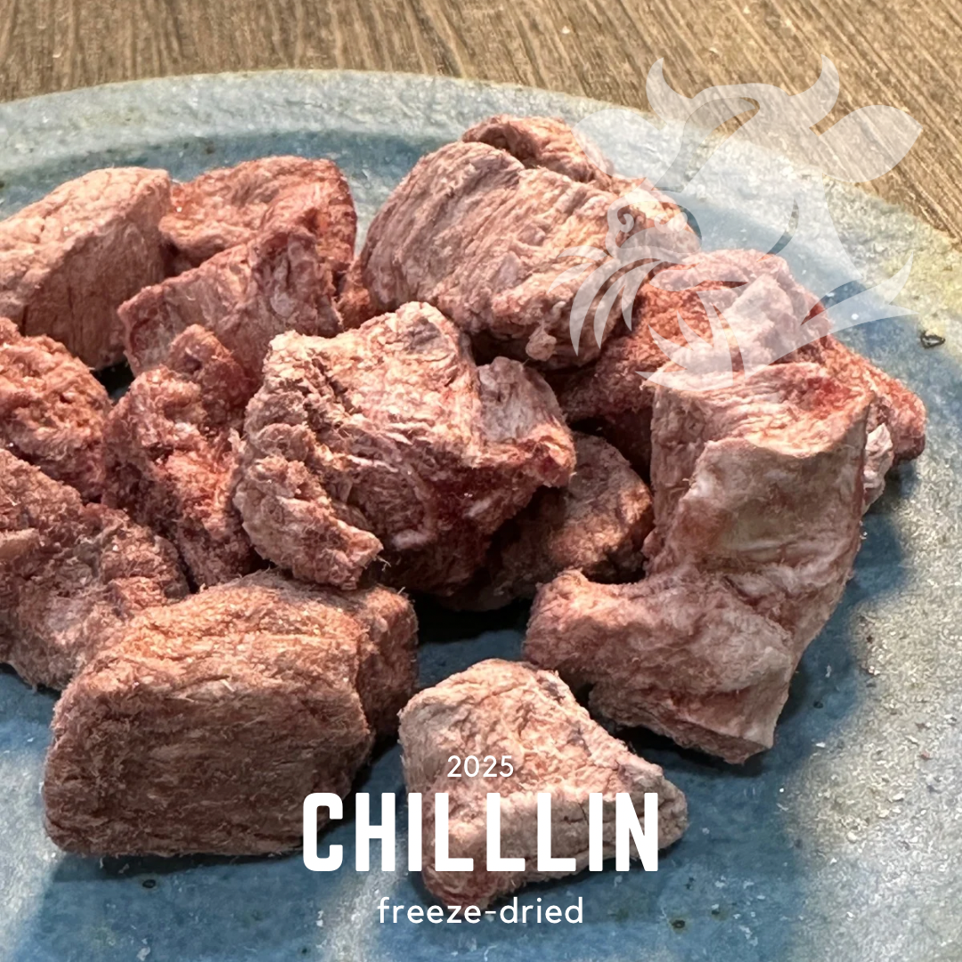 牛肉凍乾