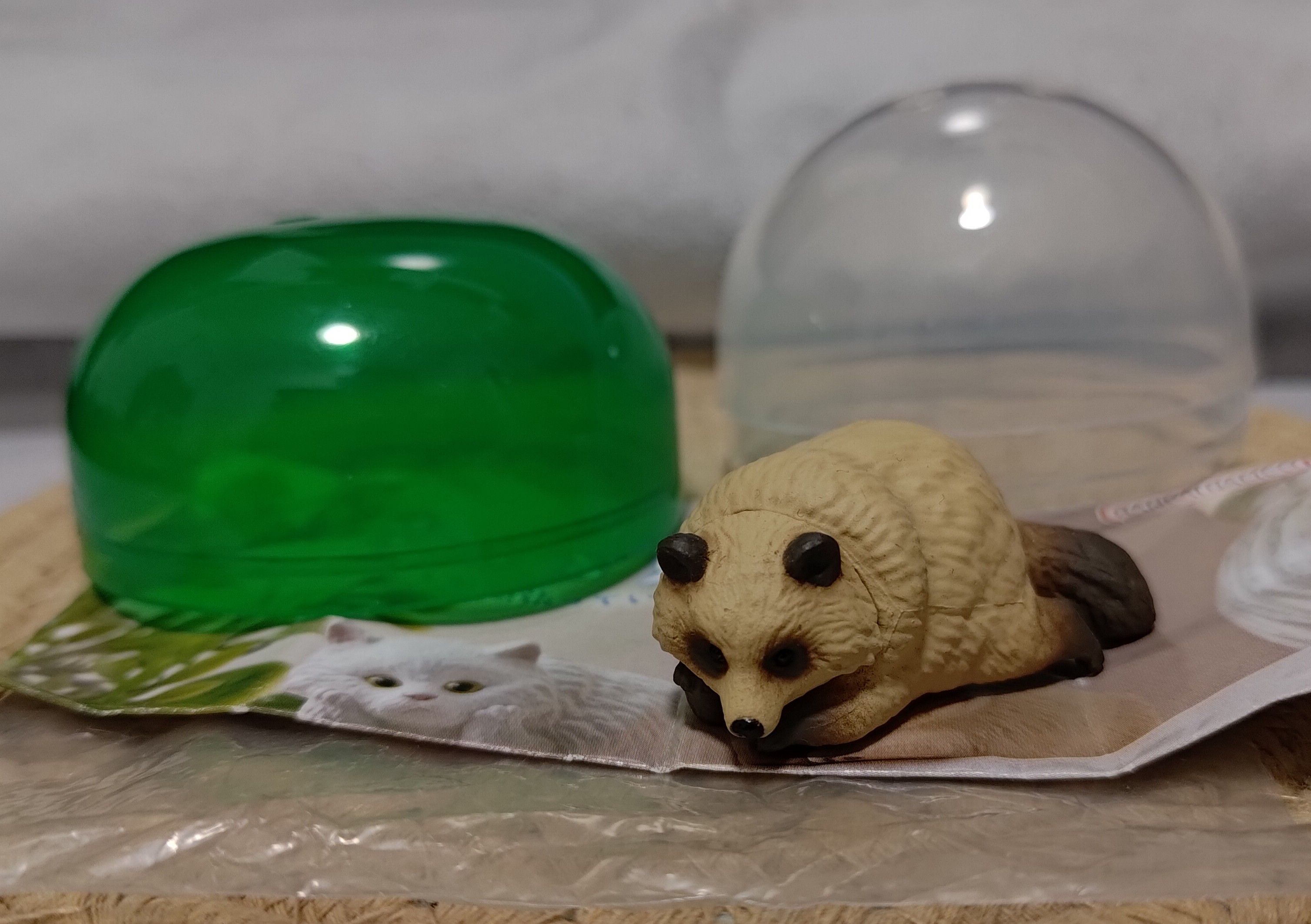 BANDAI 扭蛋 輕輕注視