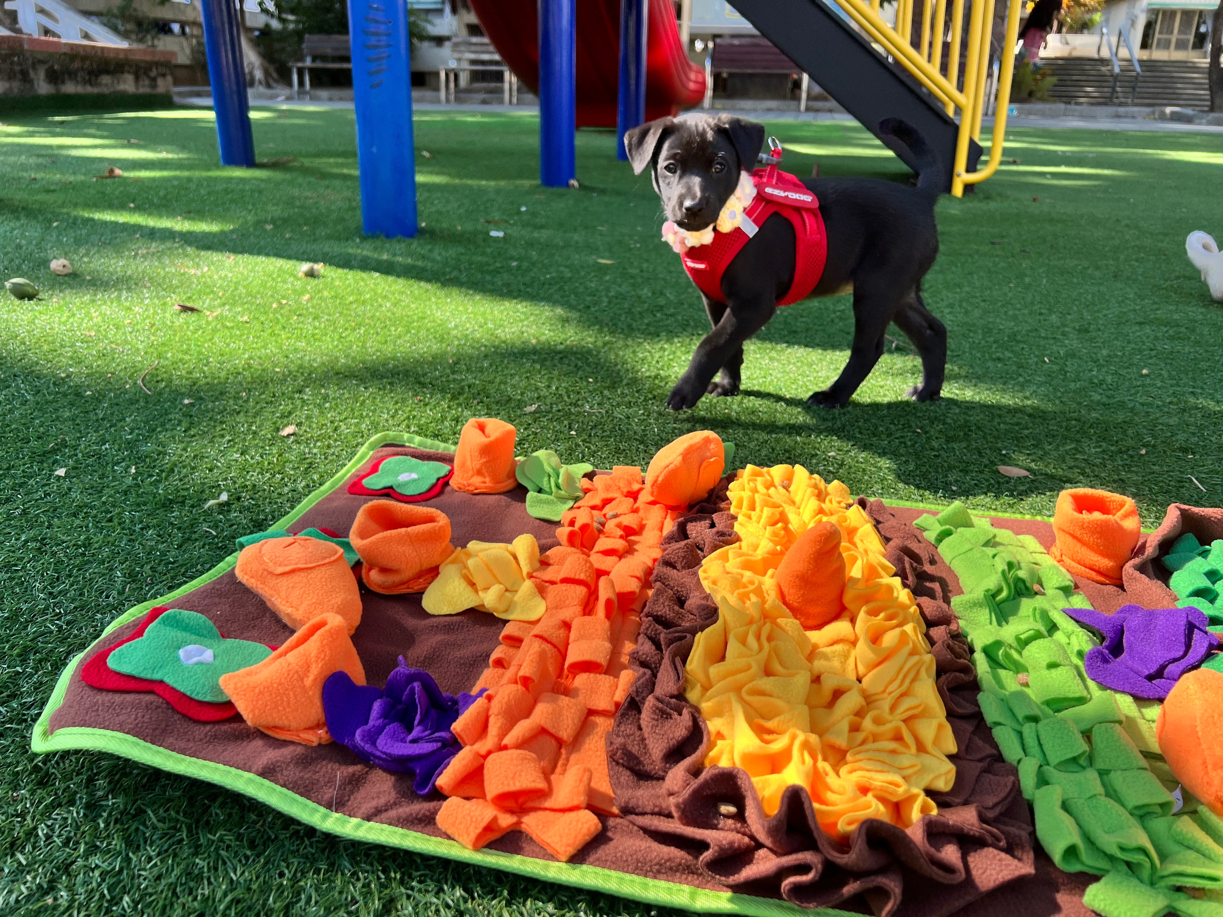 小狗的菜園 藏食墊