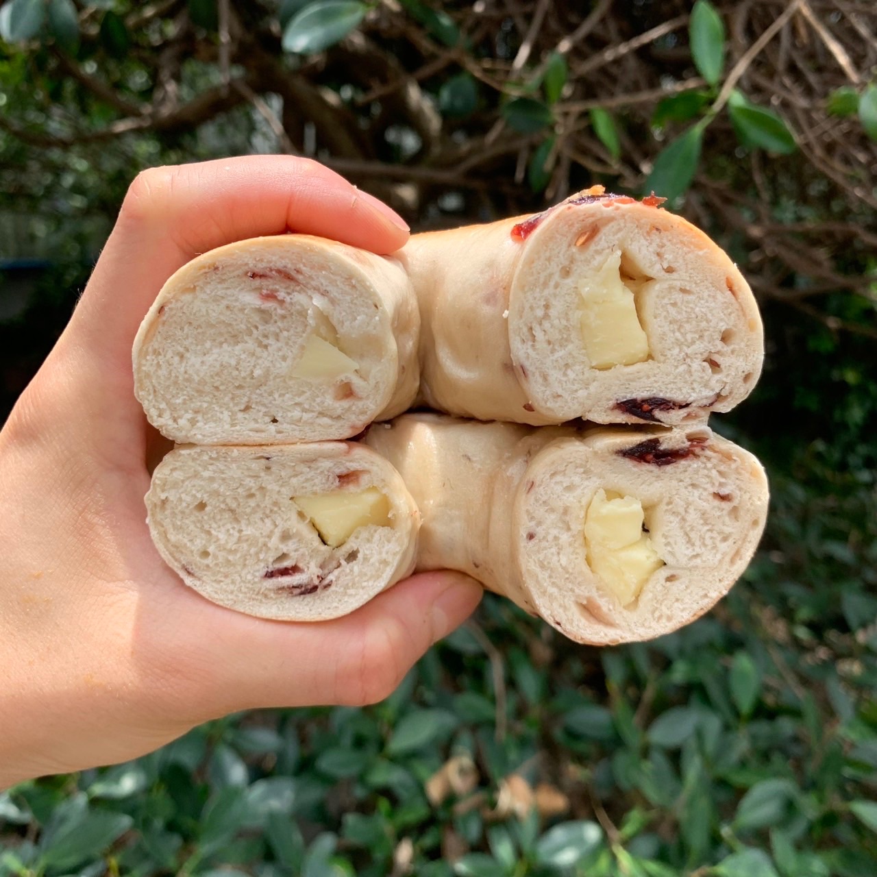 蔓越莓優格丁貝果