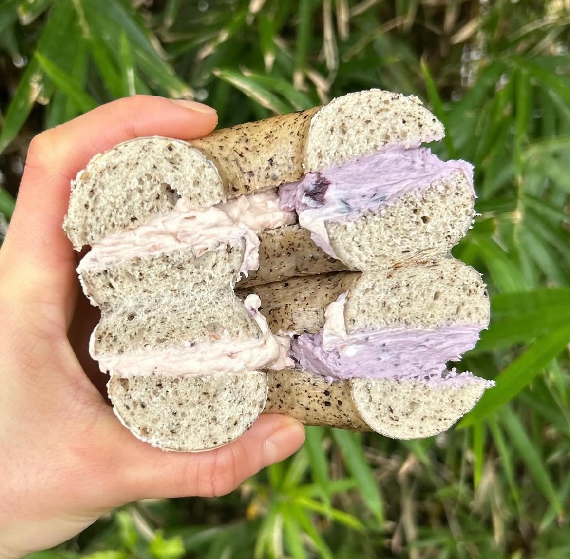 伯爵藍莓草莓雙餡貝果