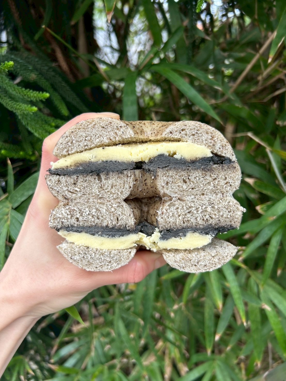 伯爵芝麻奶酥貝果