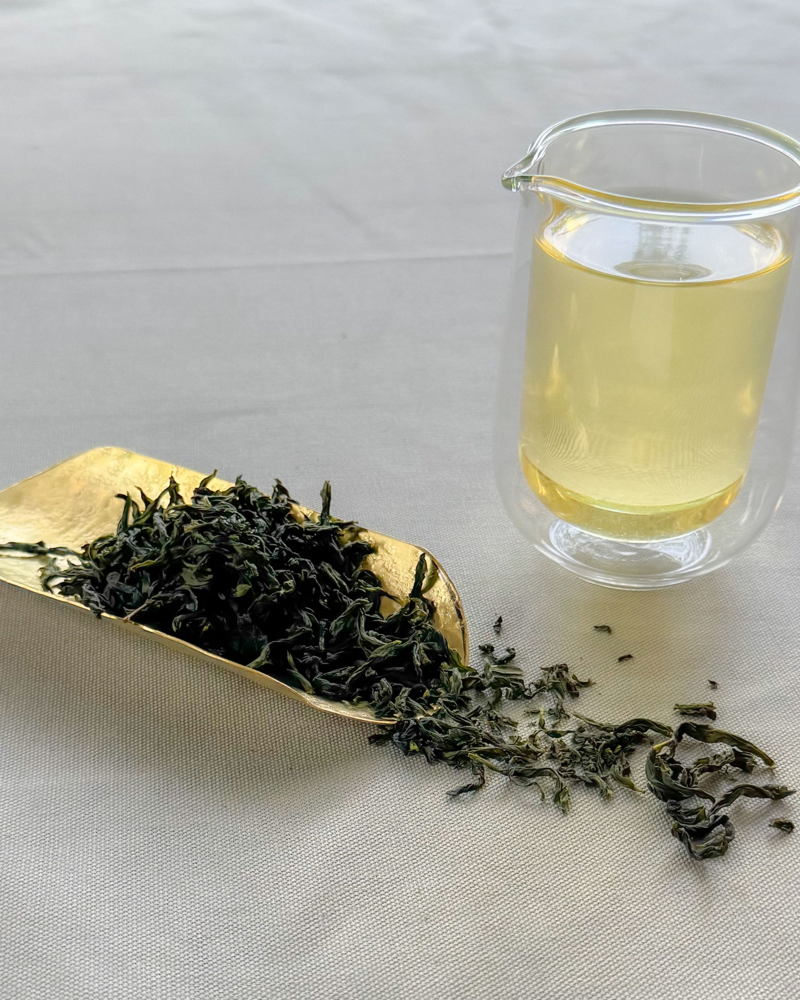 114 年春季包種茶 [森林款]