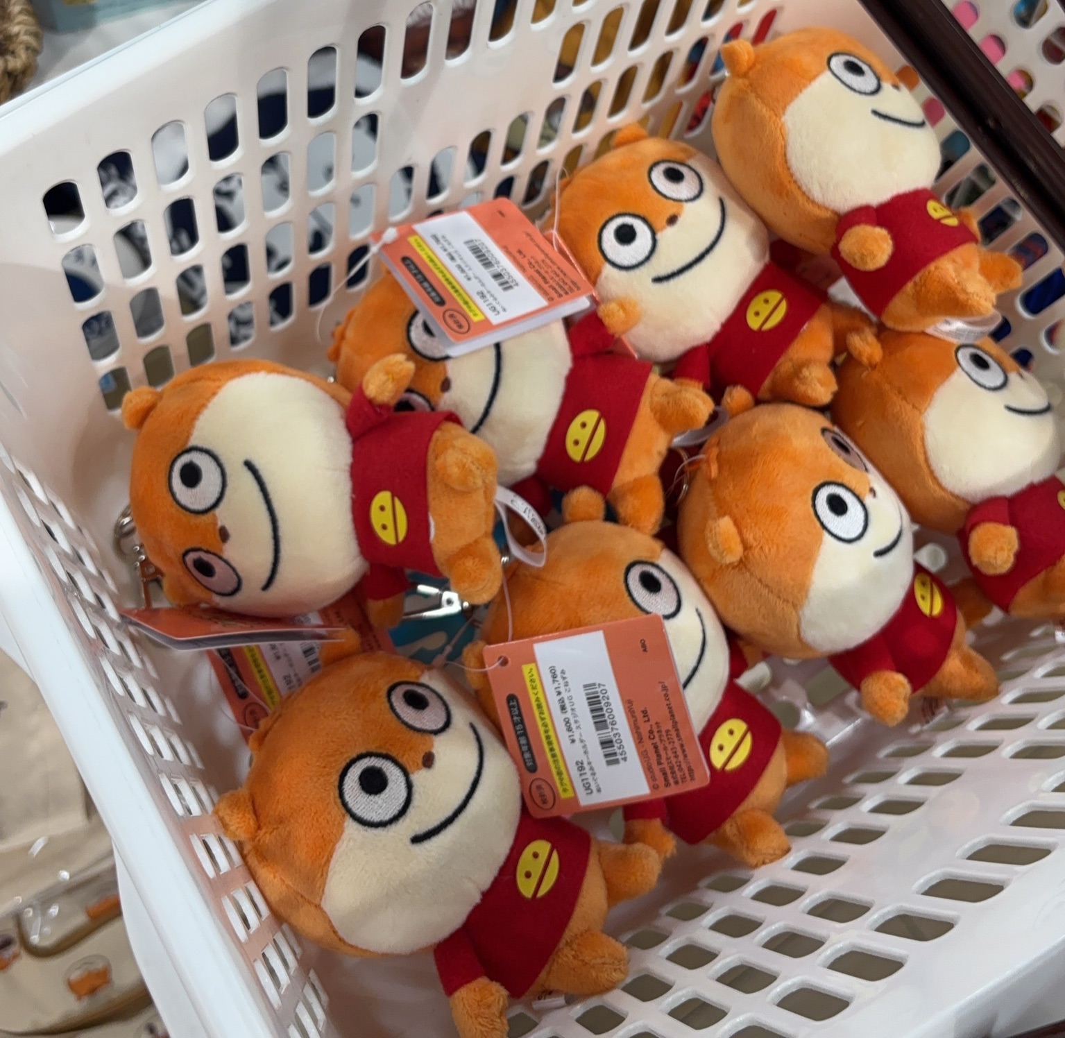 西村裕二🧡基礎小鼠