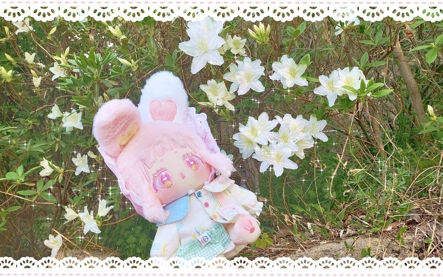棉花娃 二手