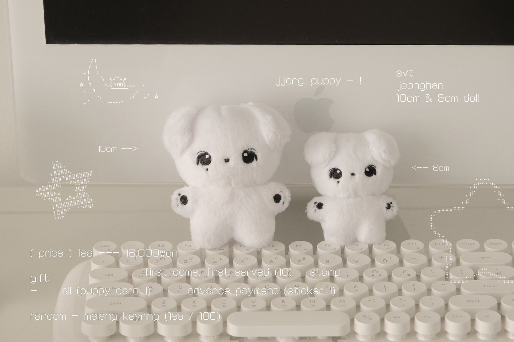 韓站娃娃 淨漢 쫑티쥬