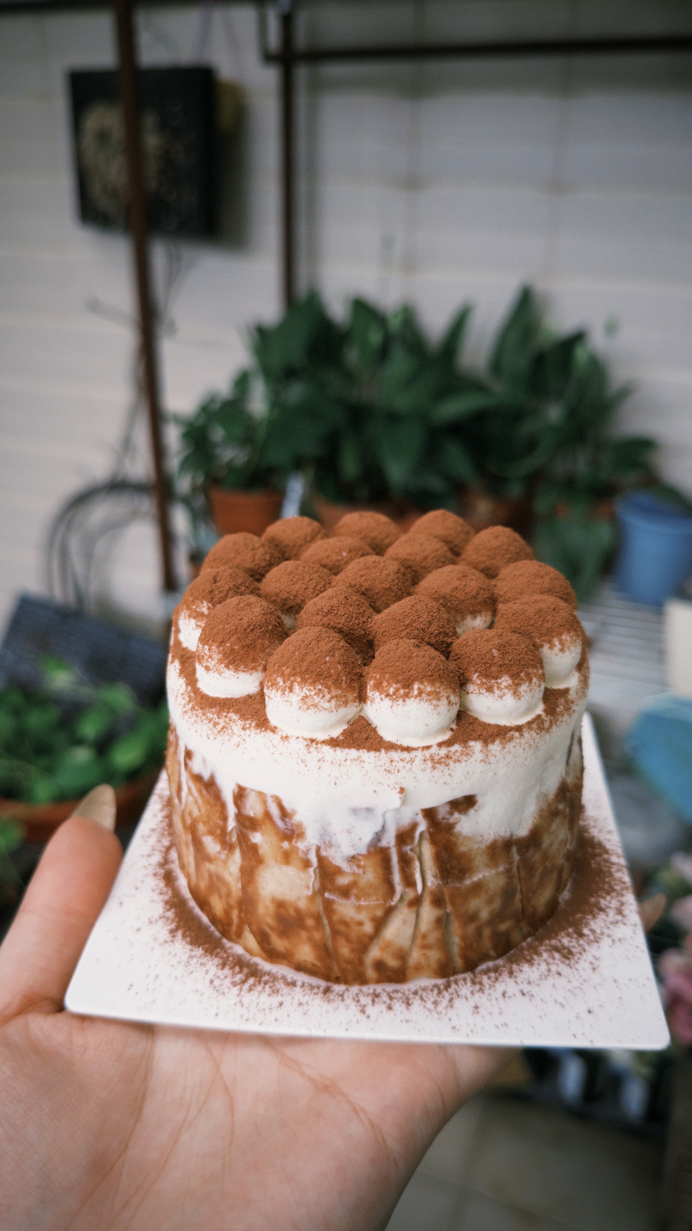 提拉米蘇巴斯克