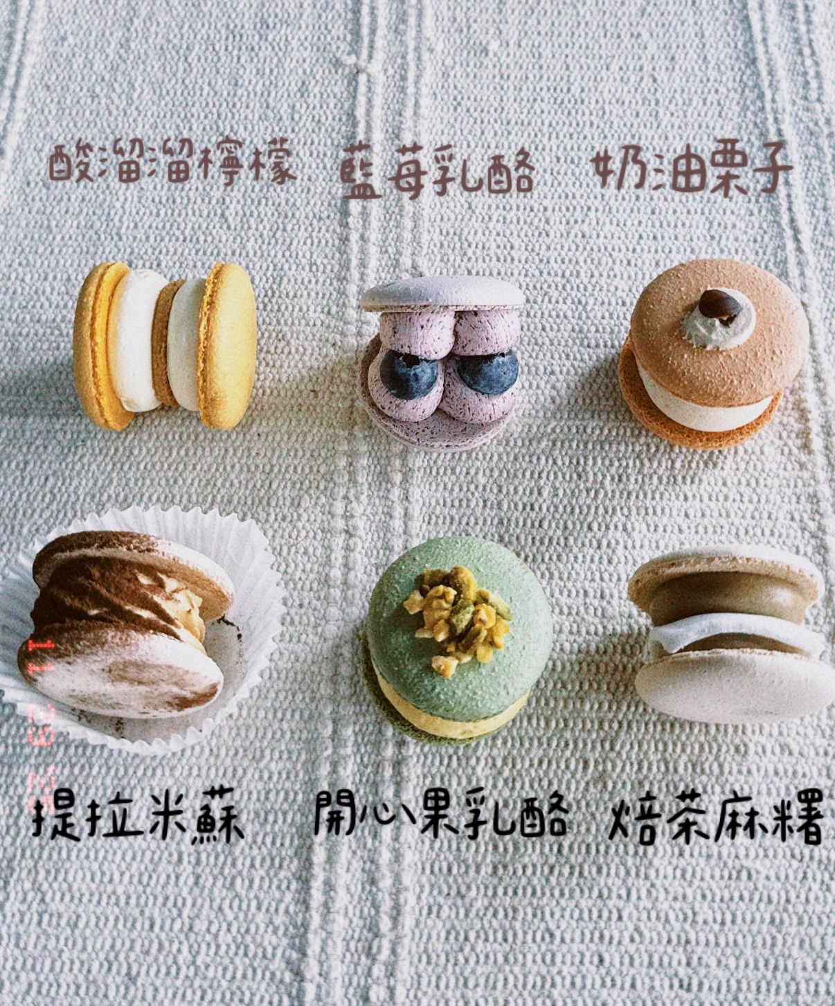 韓式胖卡龍-單顆（4/4開始出貨）