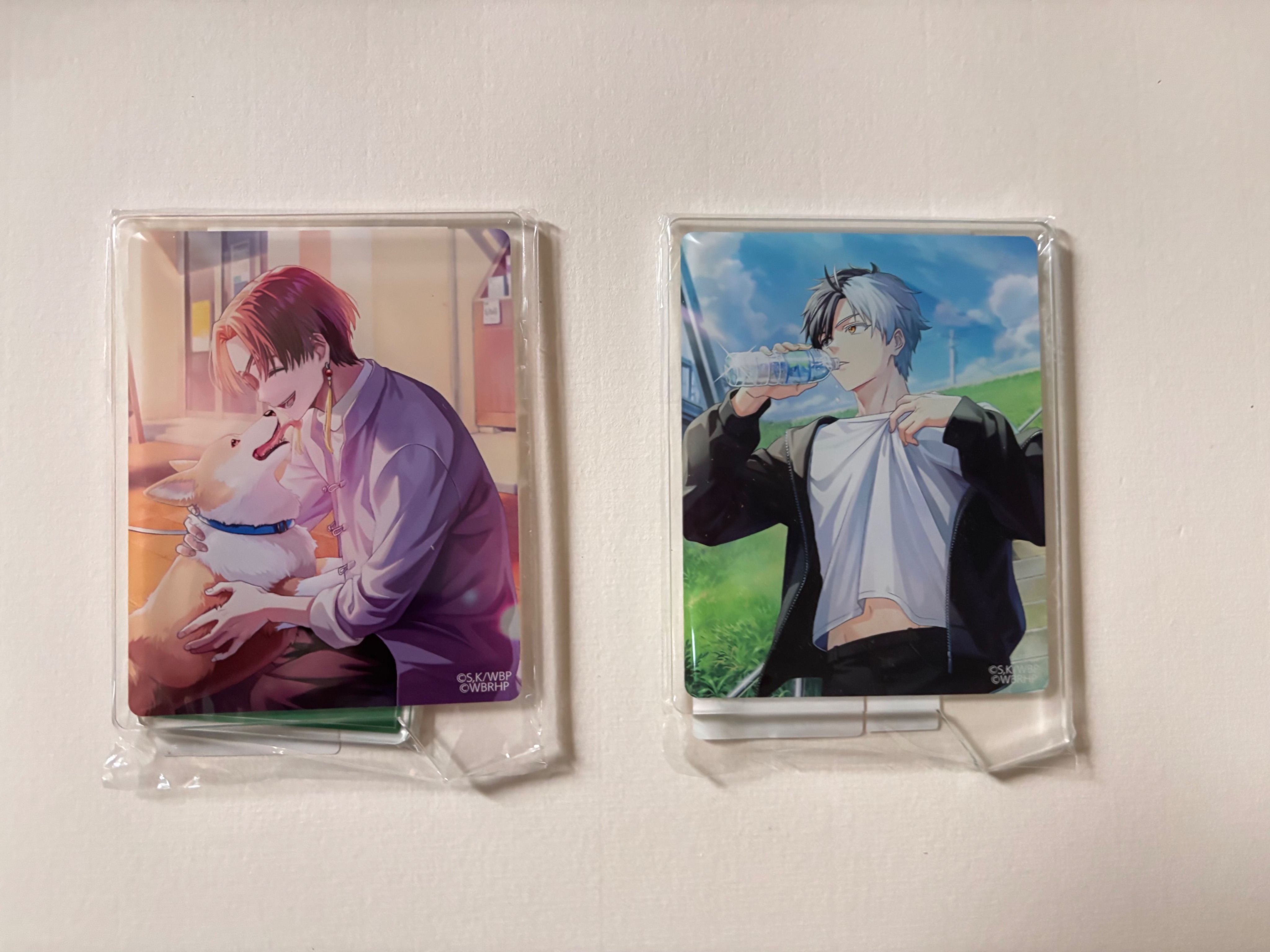 WIND BREAKER 不良たちの英雄譚 AJ2025 事後通販立牌