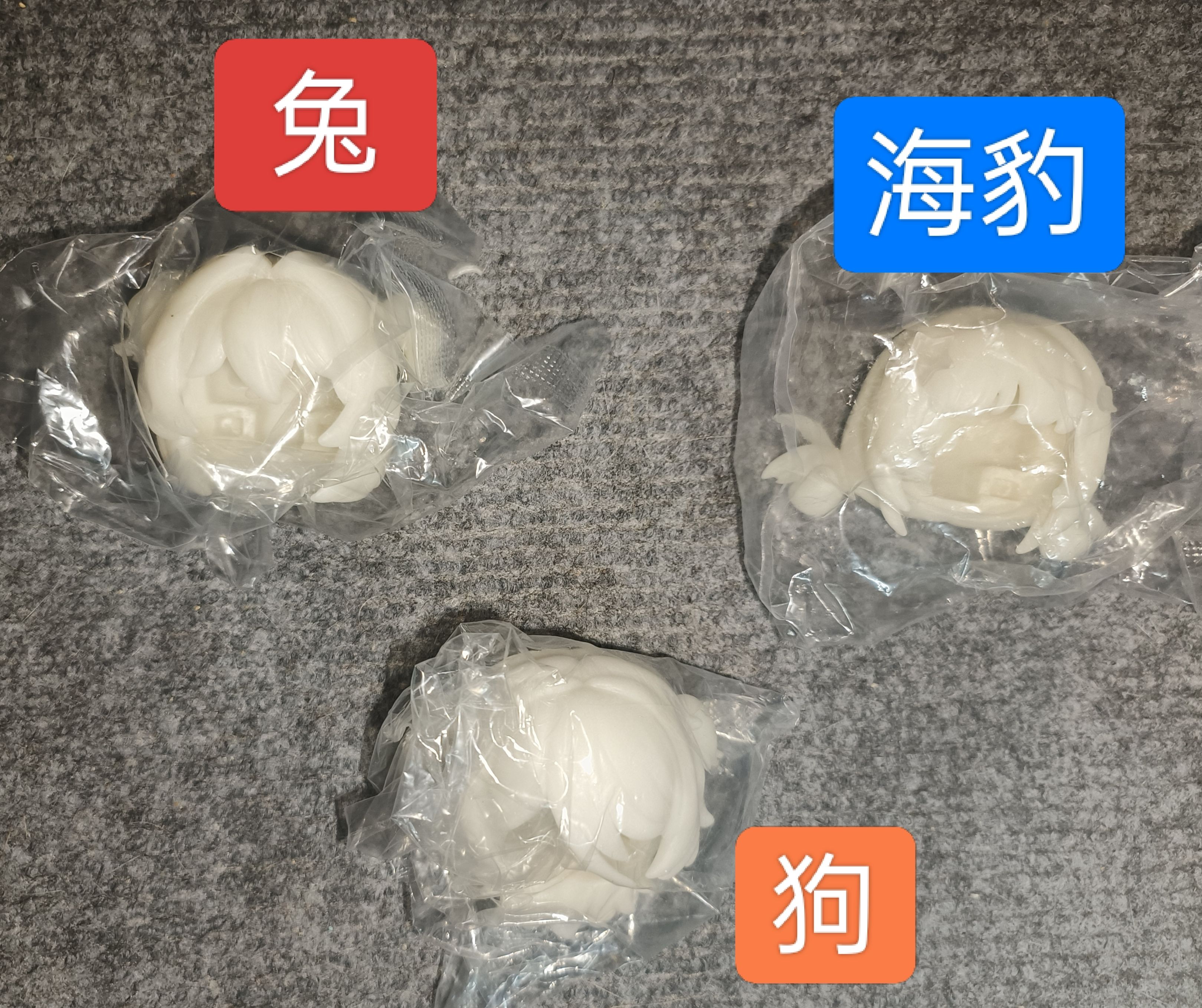 自由主張（白膜頭）