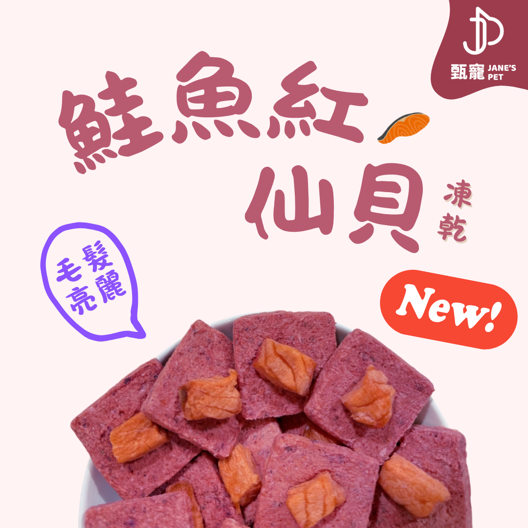 鮭魚紅仙貝 🌟 亮毛