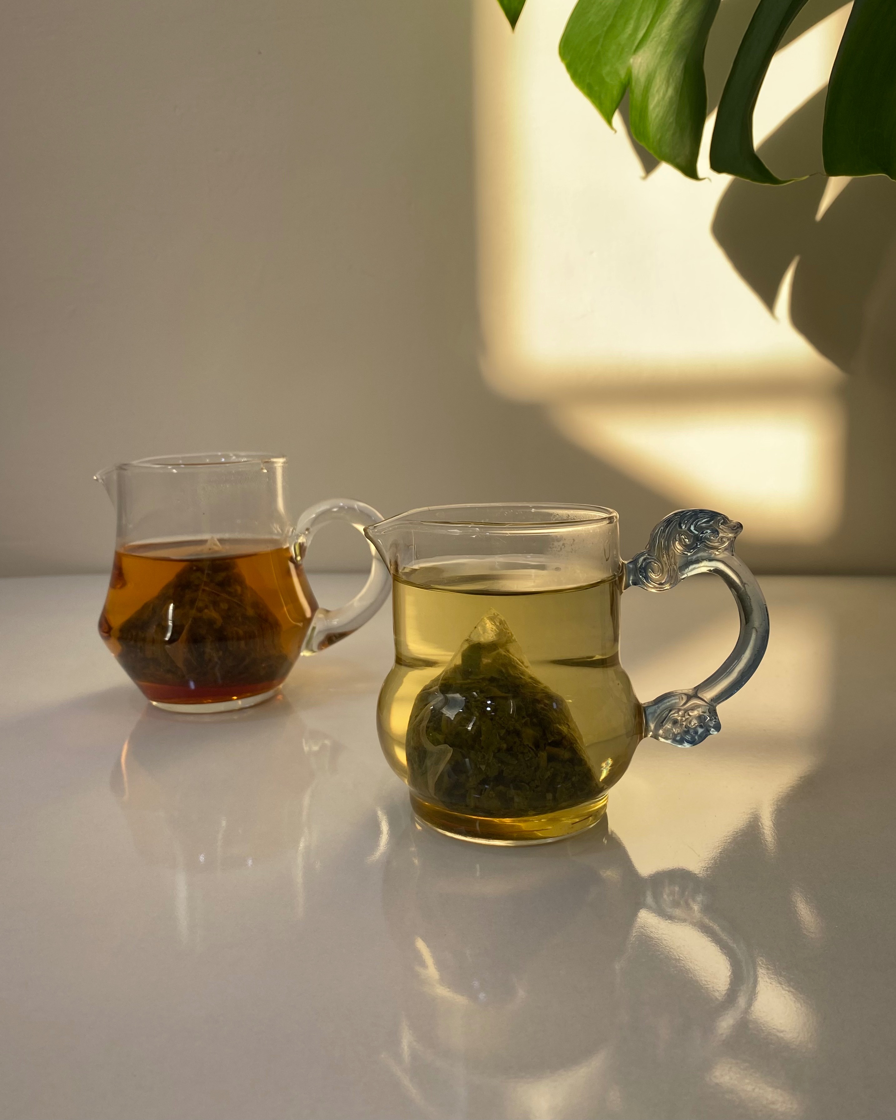 喝過都說好喝的茶包✨