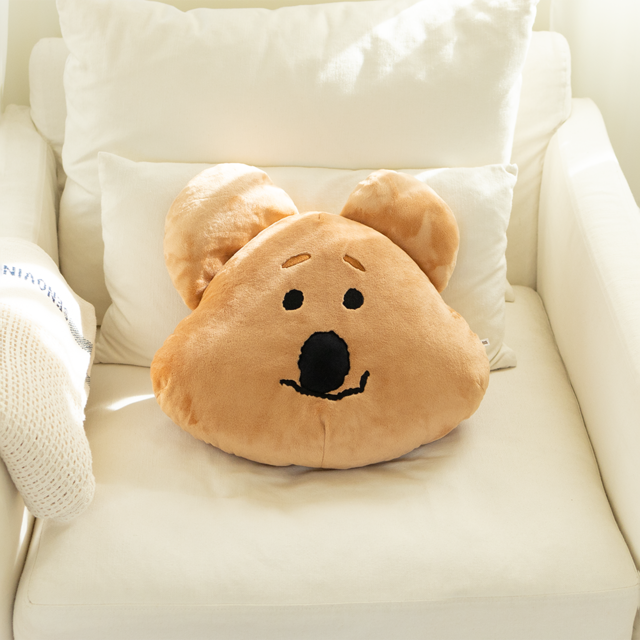 Fluffy FATTY Face Cushion 抱枕