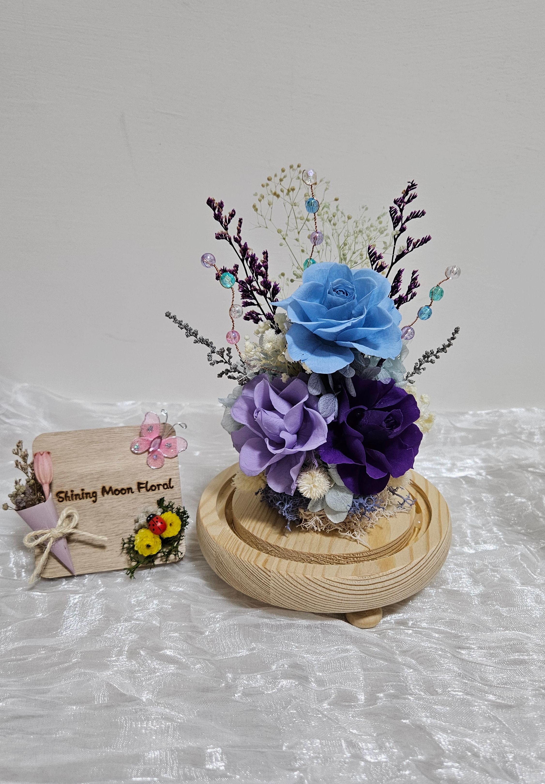 *🕊️ﾟ皎月有花*🕊️ﾟ 🌌✨藍夢極光✨💙