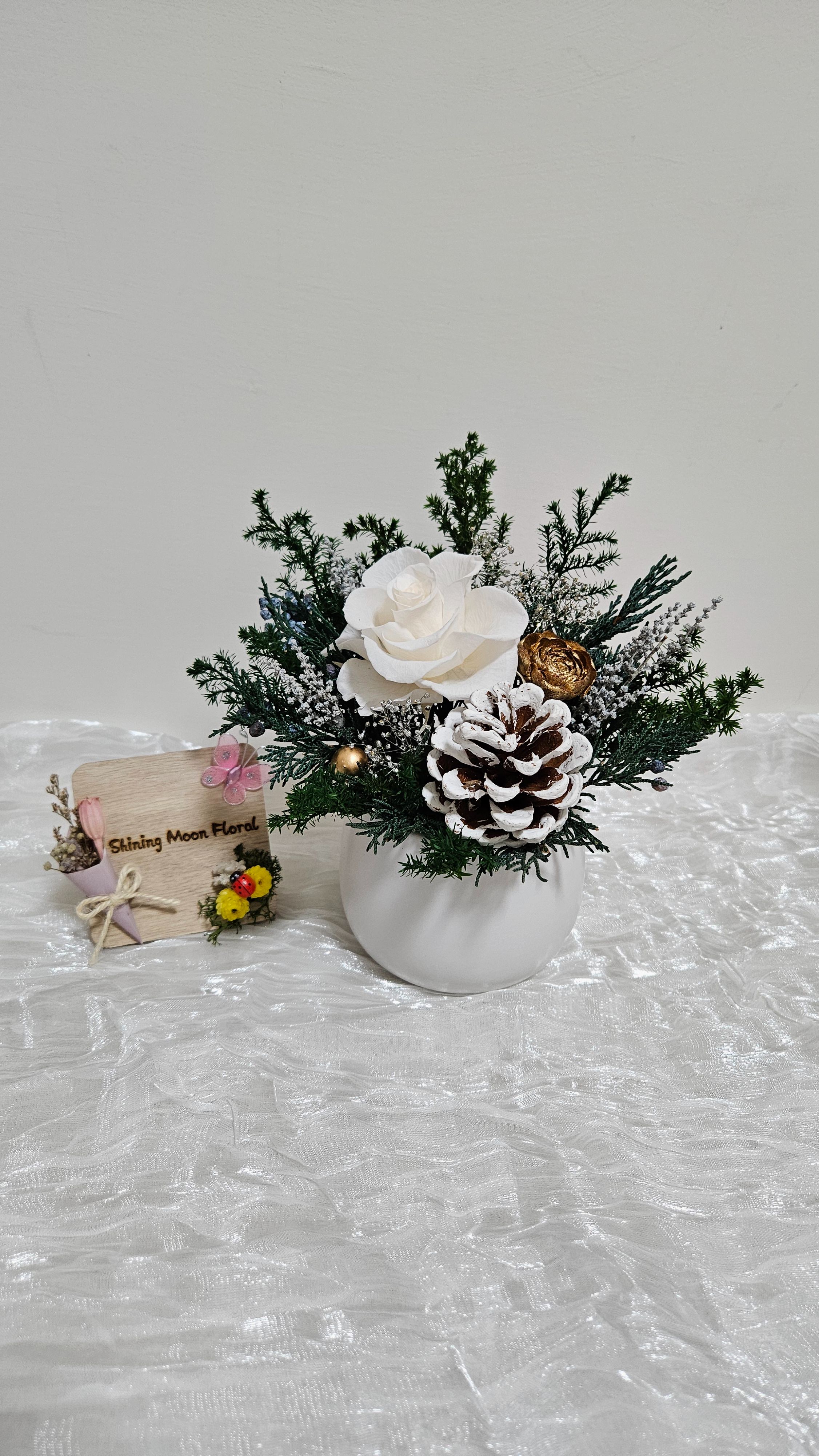 *🕊️ﾟ皎月有花*🕊️ﾟ ☃️雪白森語❄️