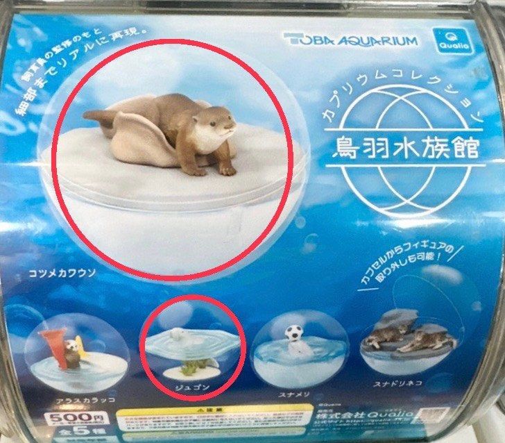 日本鳥羽水族館 限定扭蛋 水獺 海象 全新未拆封