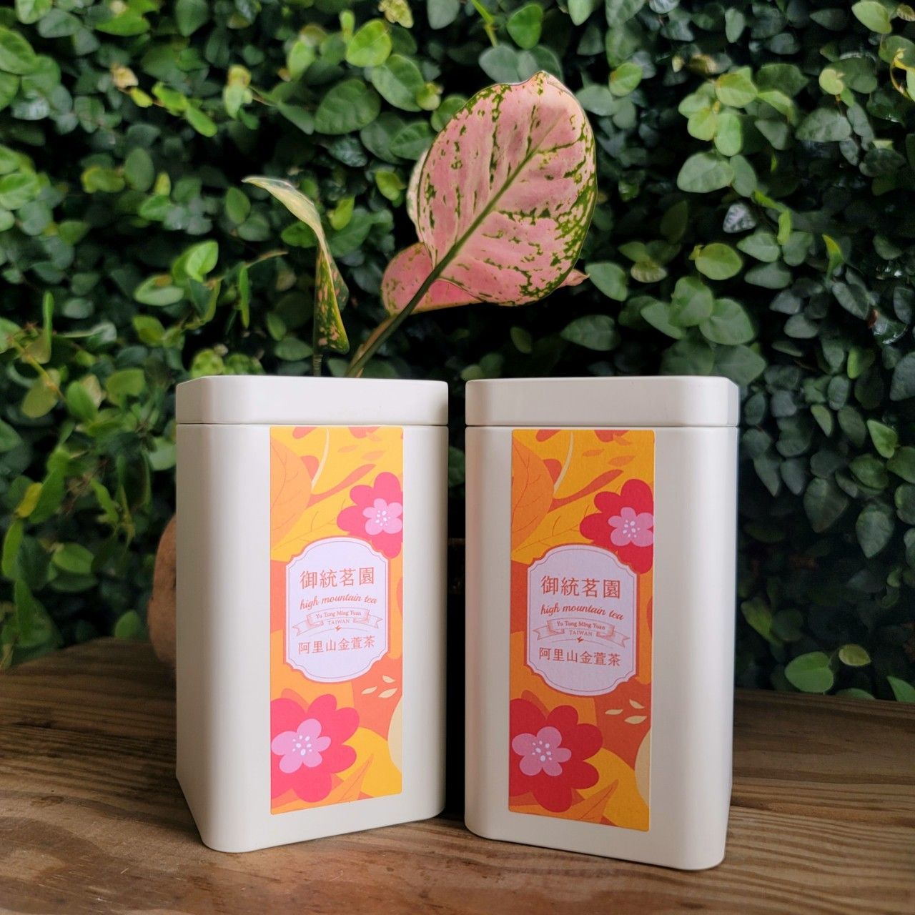 御統茗園精選【金萱茶】