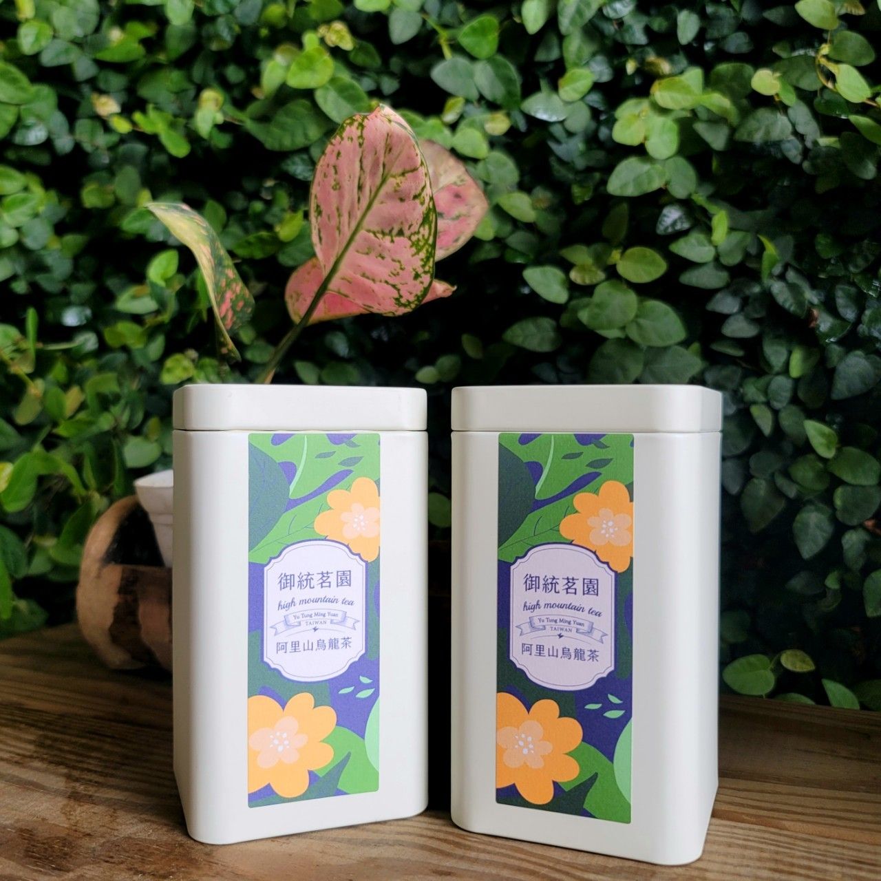 御統茗園精選【烏龍茶】