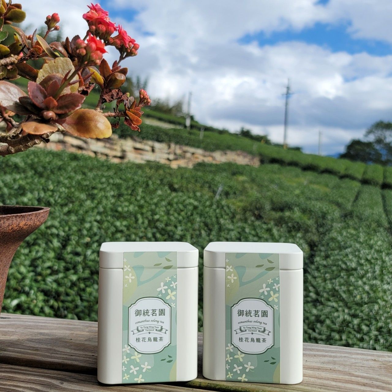 御統茗園精選【桂花烏龍茶】