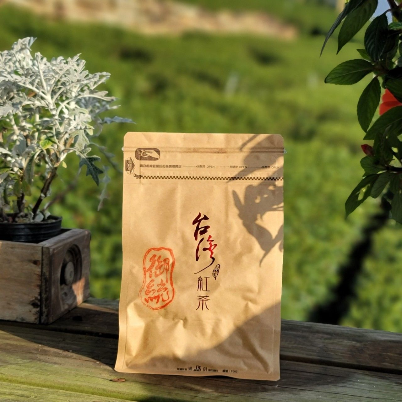 【冷泡專用茶包-蜜香紅茶】
