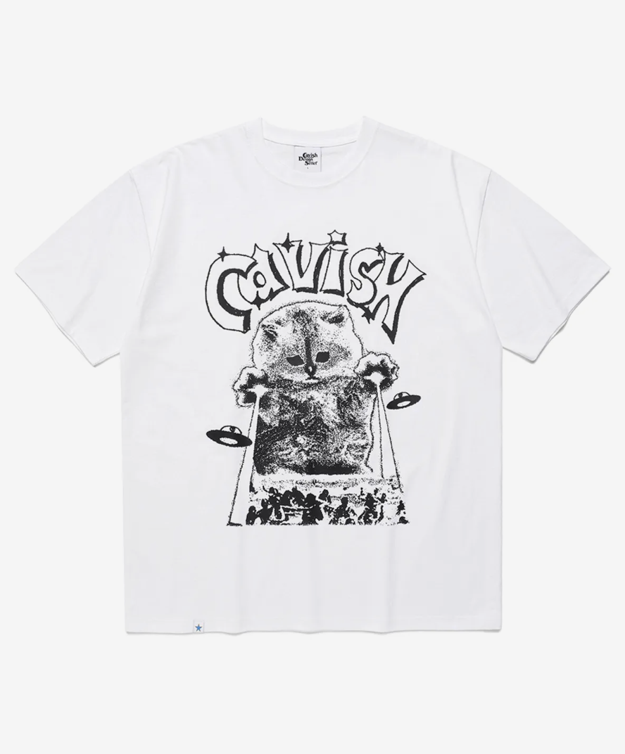 Cavish 侵略者貓貓