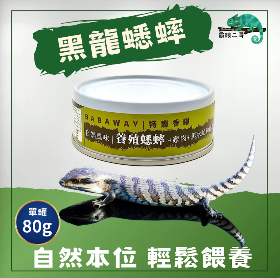 爬蟲專用罐頭 黑龍蟋蟀