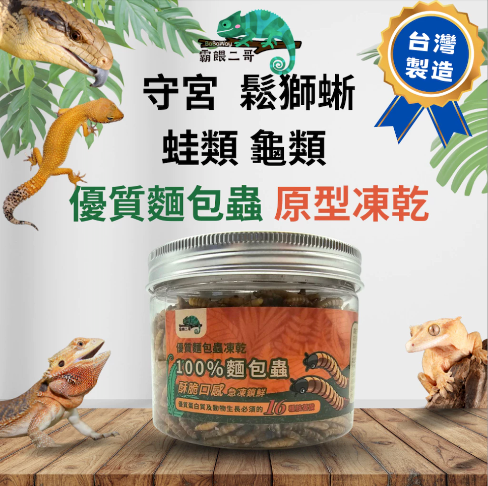 爬蟲專用凍乾 麵包蟲