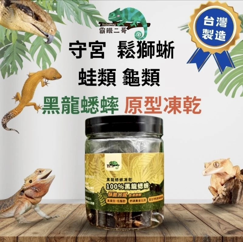 爬蟲專用凍乾 蟋蟀