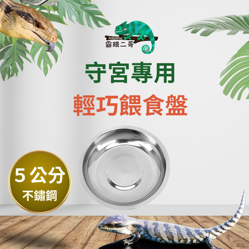 爬蟲餵食盤
