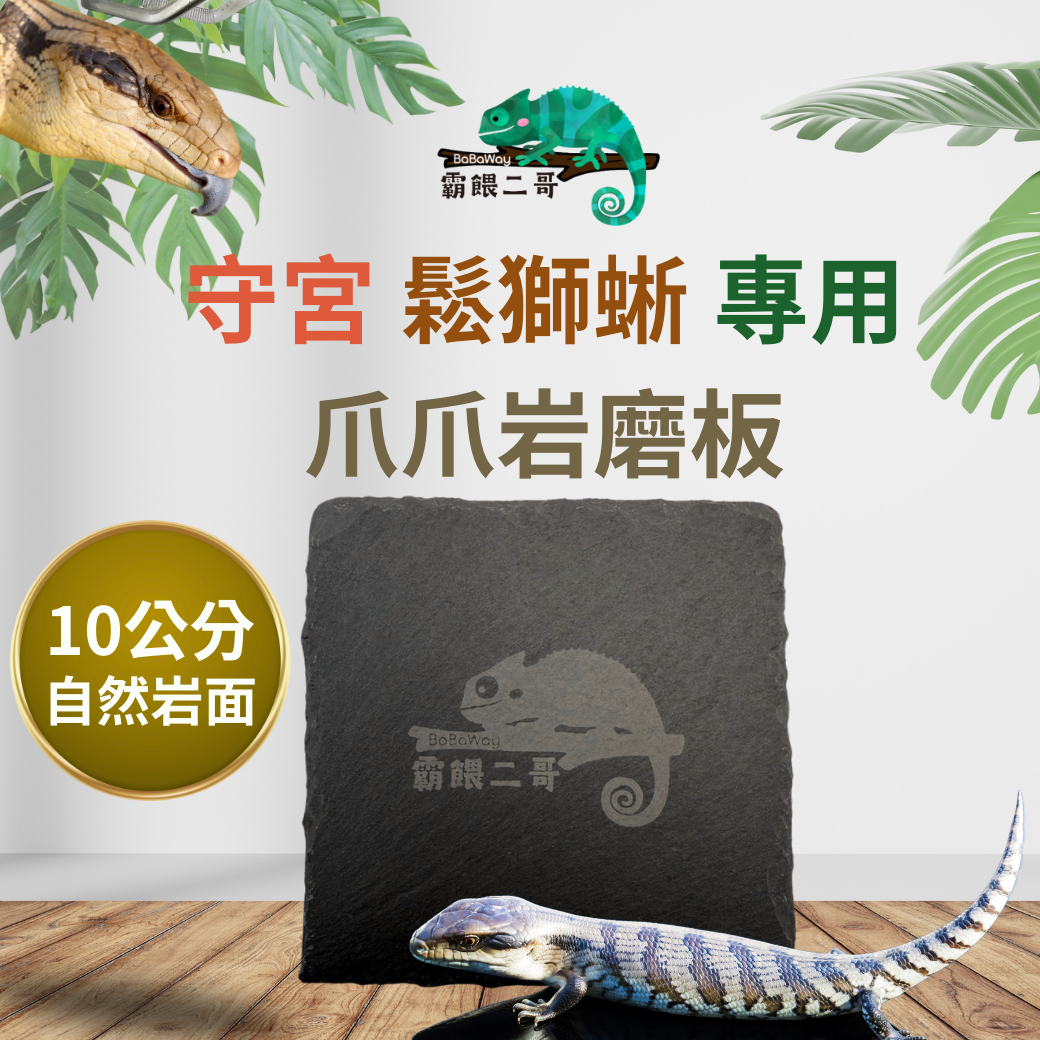爬蟲專用岩磨板