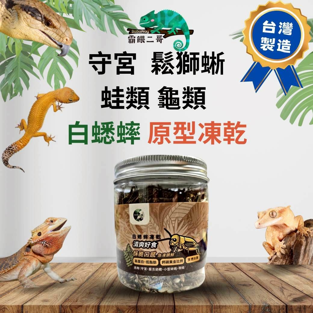 爬蟲專用凍乾 白蟋蟀