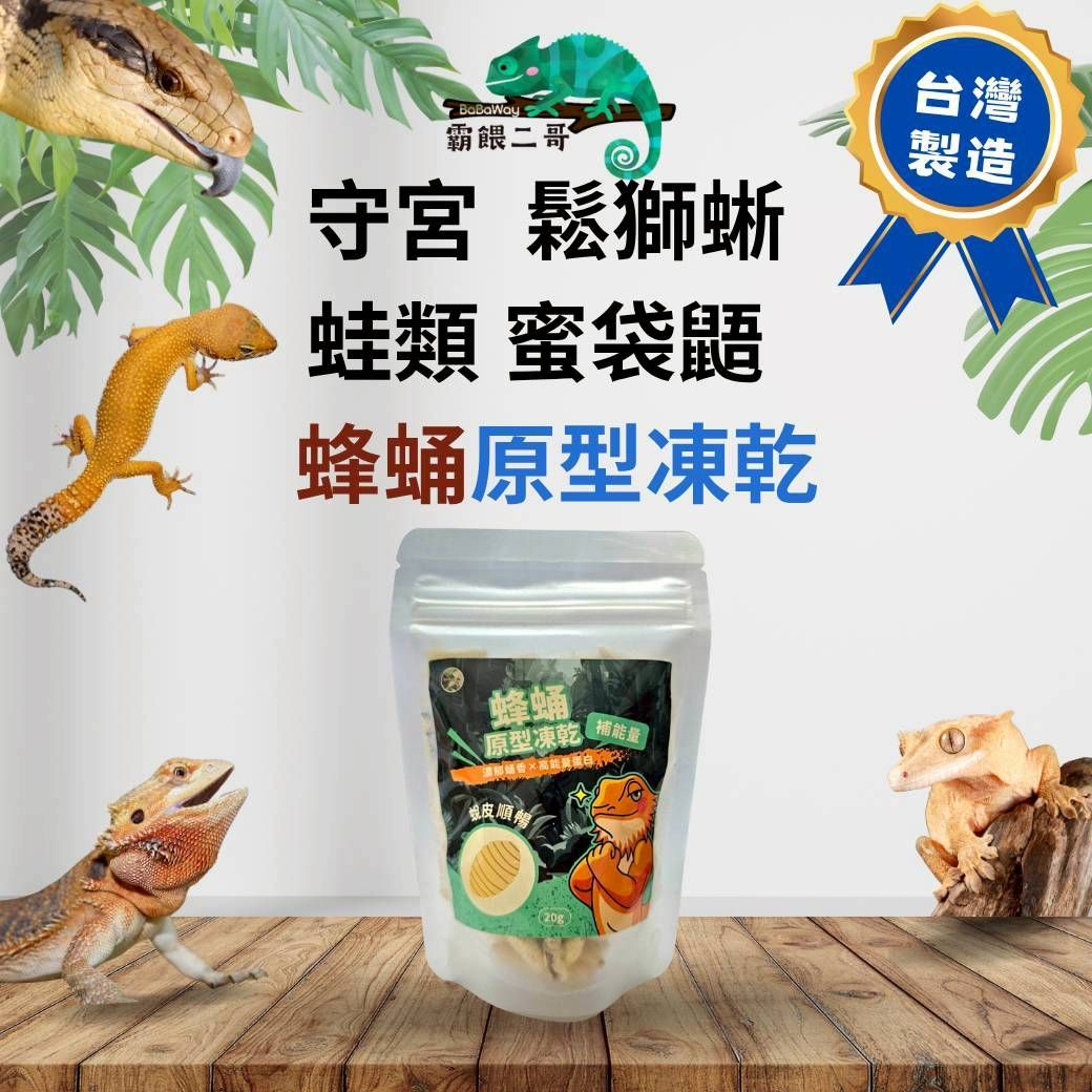 爬蟲專用凍乾 蜂蛹