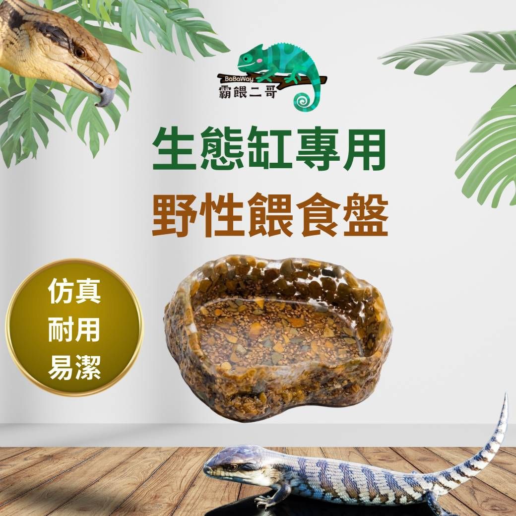 爬蟲專用野性餵食盤