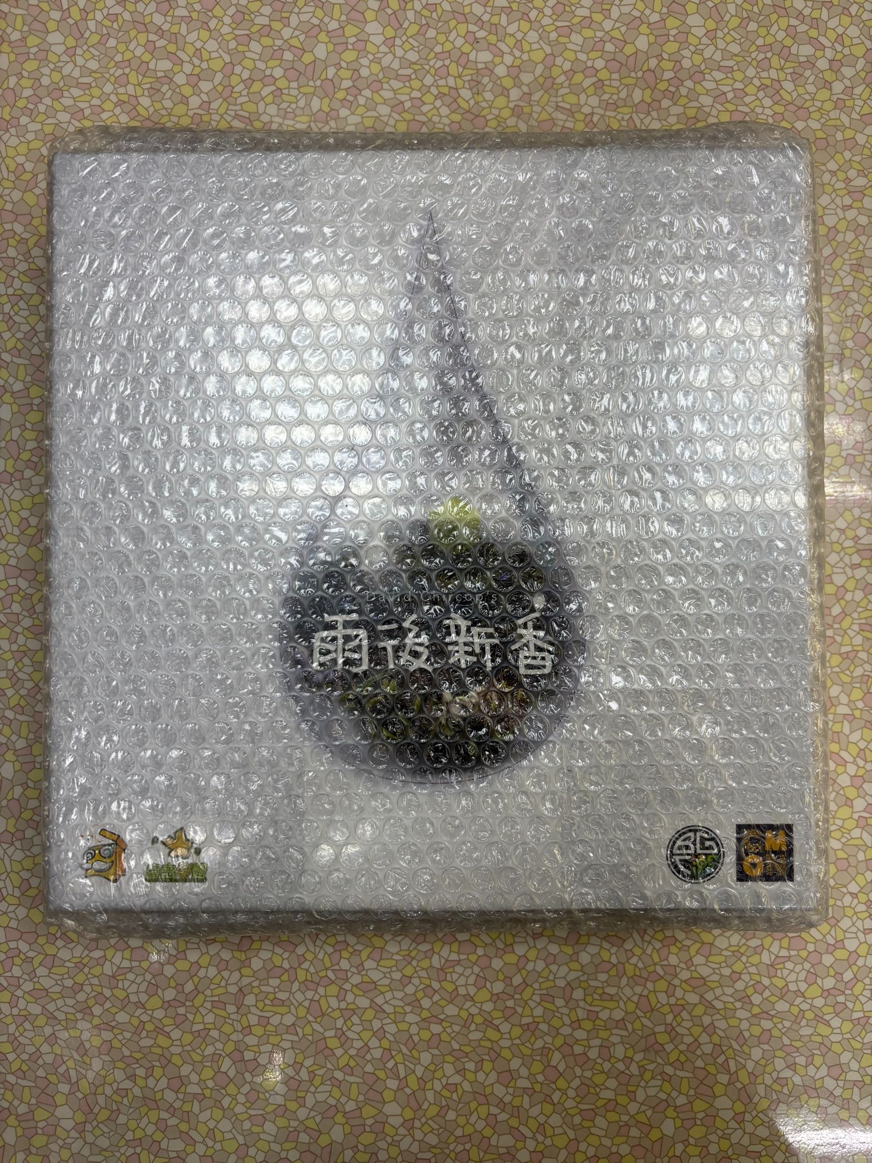 雨後新香