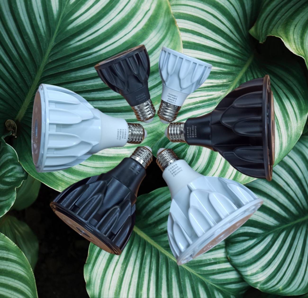 全光譜植物燈 10瓦 20瓦 30瓦