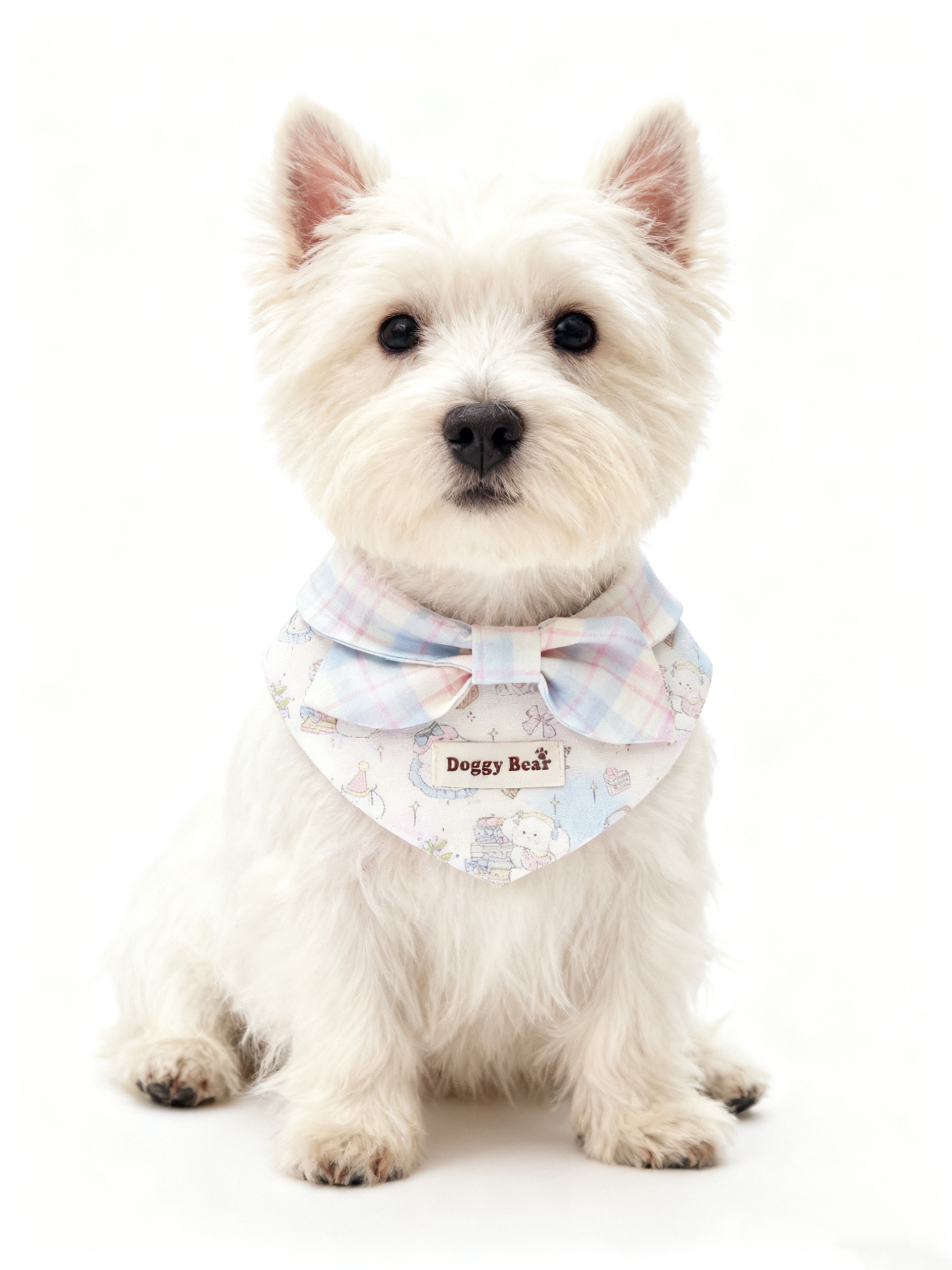 ［出清］全新寵物領巾