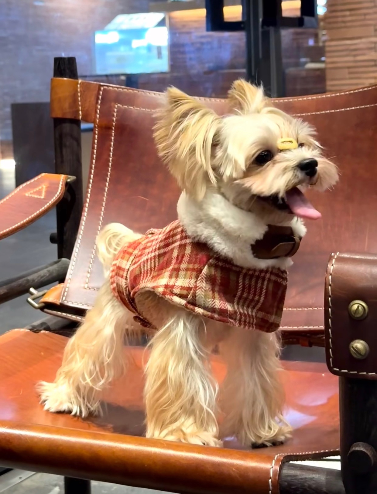 經典格紋保暖披風（1/7～1/14出貨）