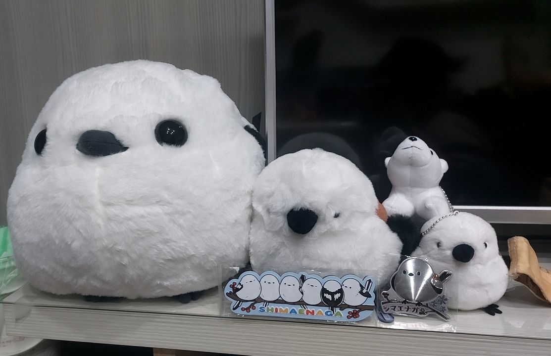 麻煩一單下一個，未下取消喔！