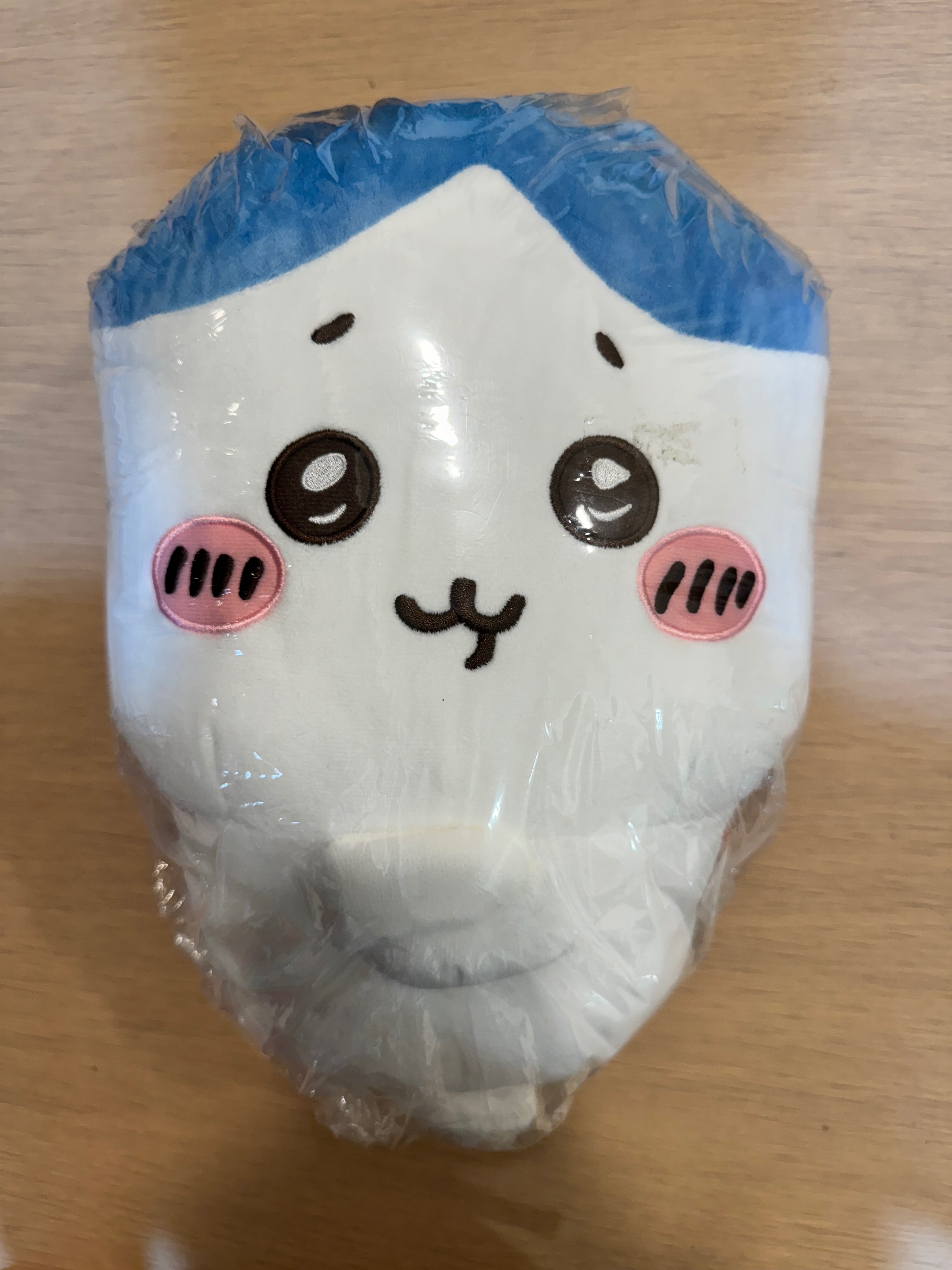 靈魂交換538景品