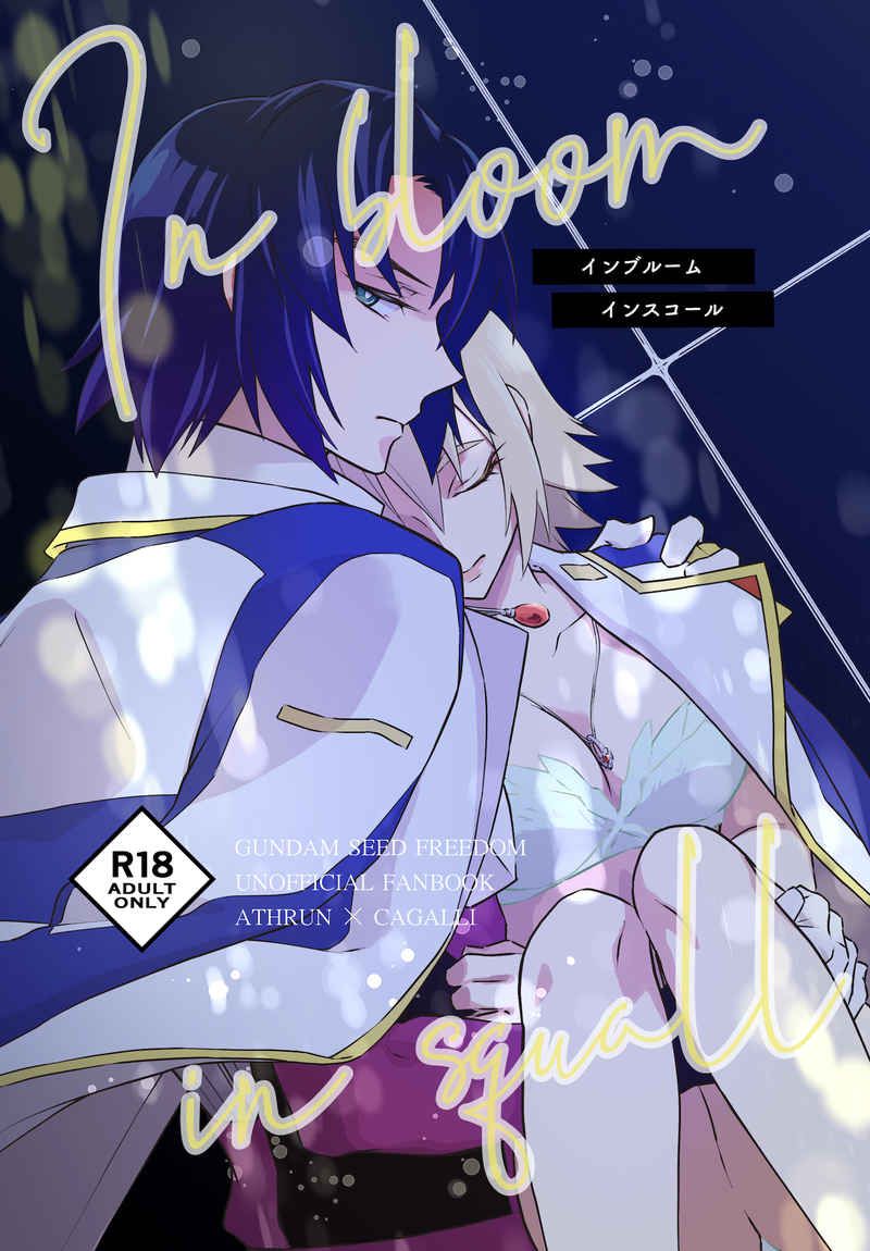 鋼彈Seed Free1（本子內容試閱和CP請見商品描述）