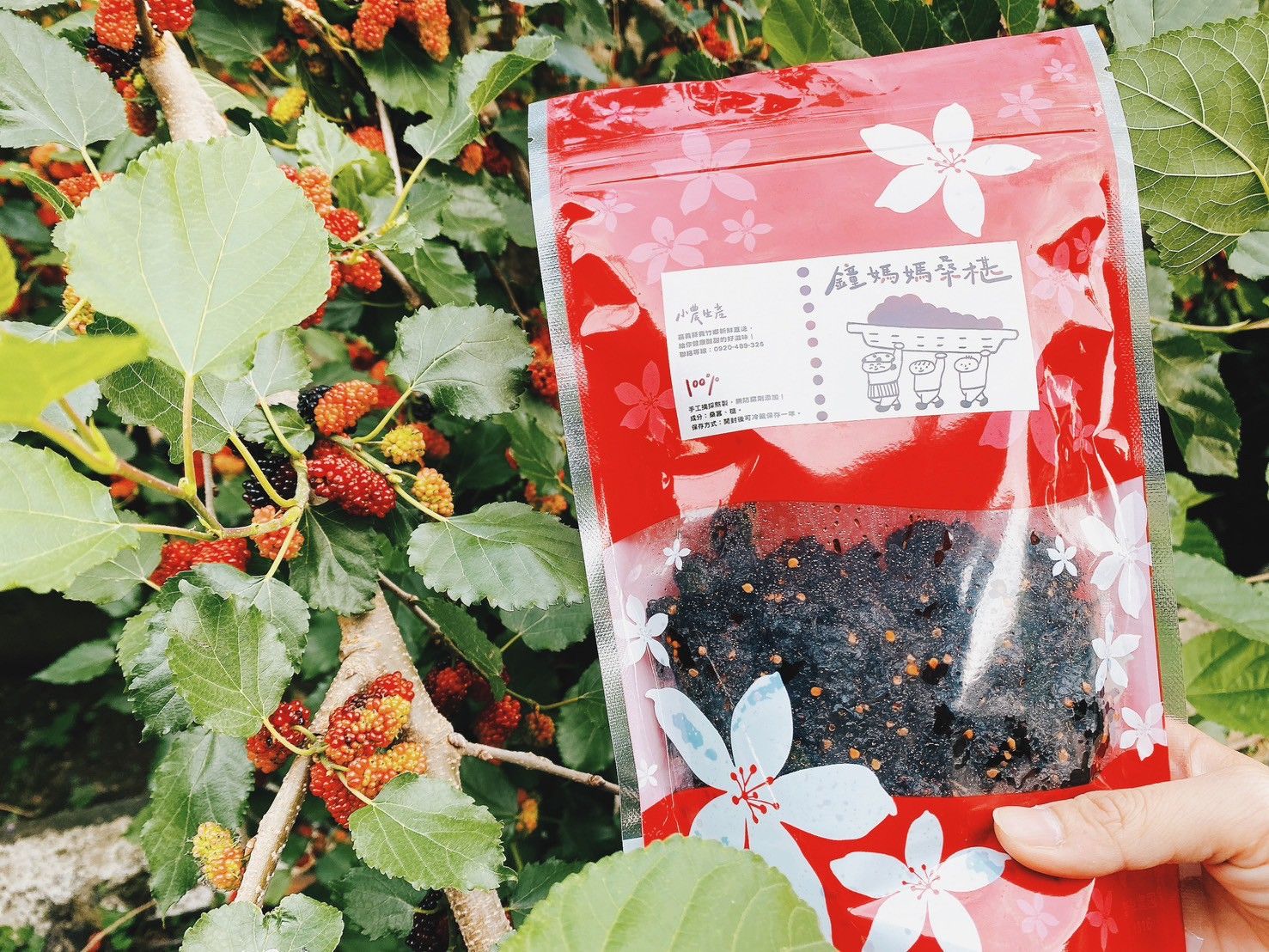 鐘媽媽桑椹蜜餞