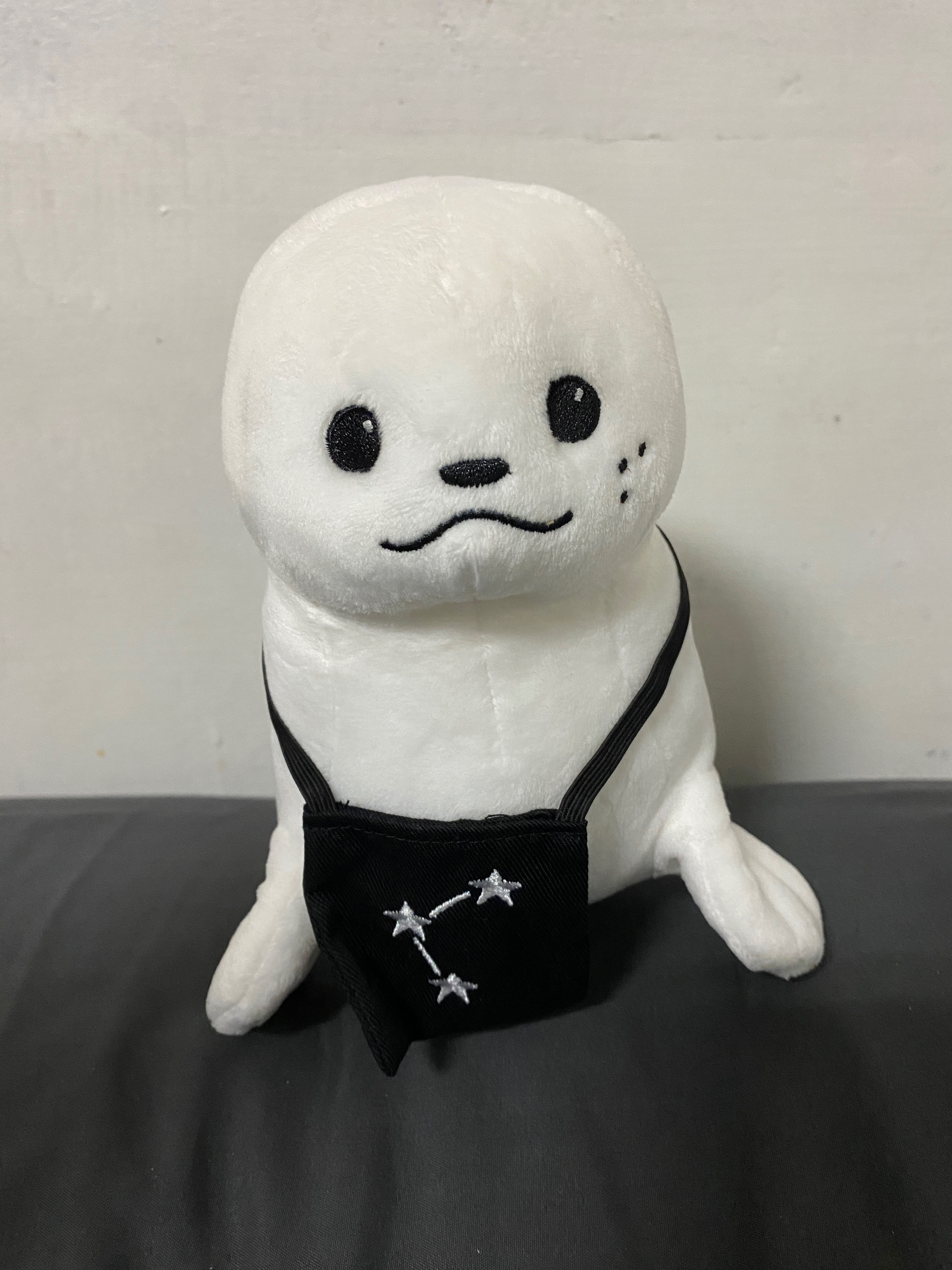 邕聖祐小海豹