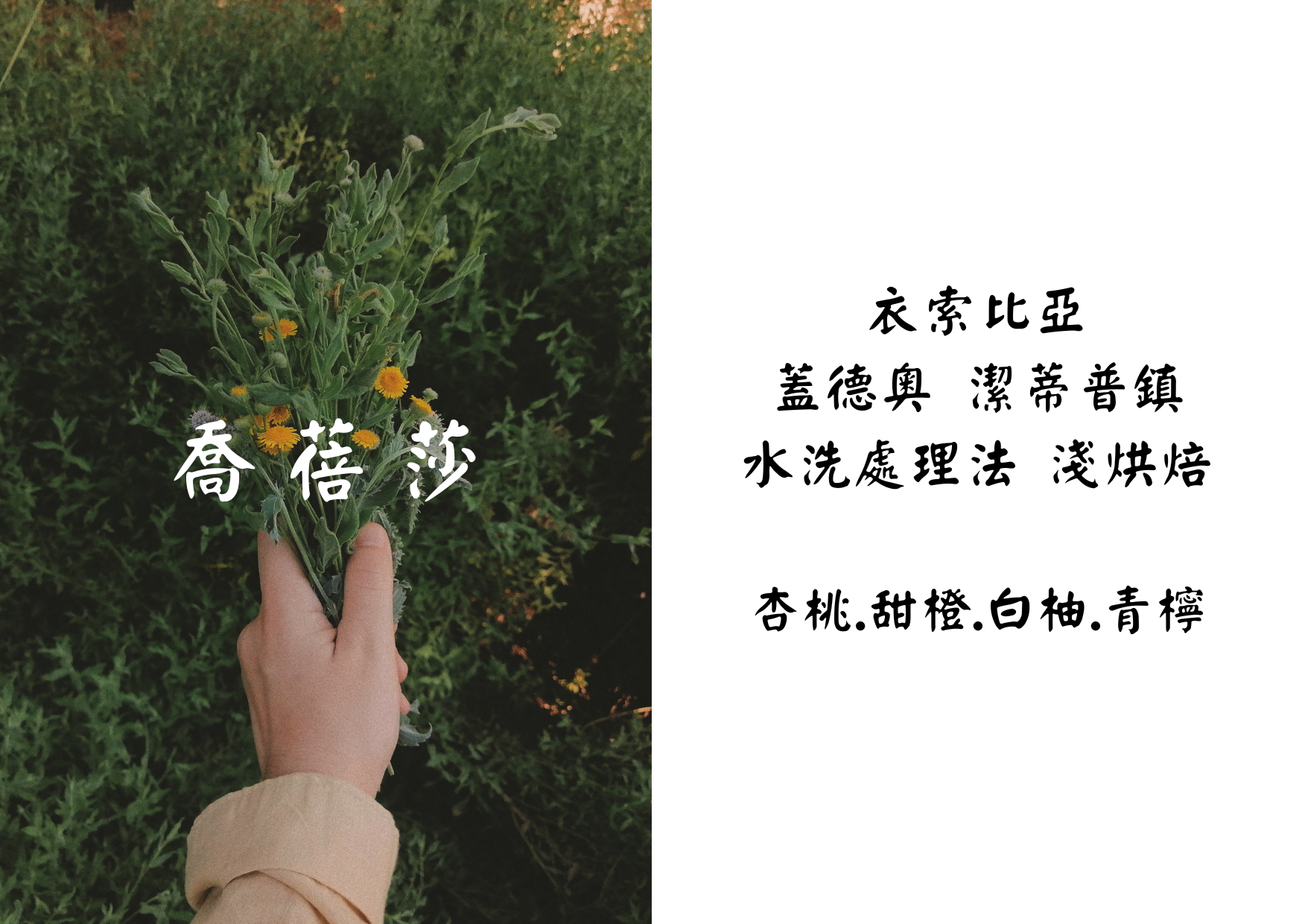 咖啡豆｜迷你試喝包｜單包18g